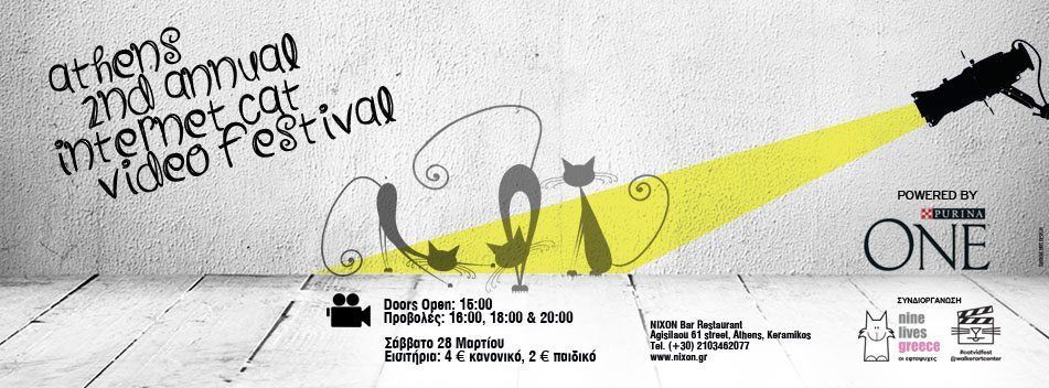 Internet Cat Video Festival